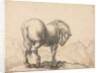 Study of a Stallion by Giovanni Battista Foggini