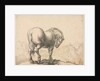 Study of a Stallion by Giovanni Battista Foggini