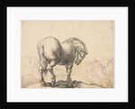 Study of a Stallion by Giovanni Battista Foggini