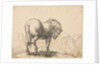 Study of a Stallion by Giovanni Battista Foggini