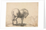 Study of a Stallion by Giovanni Battista Foggini
