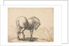 Study of a Stallion by Giovanni Battista Foggini