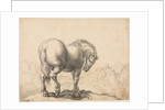 Study of a Stallion by Giovanni Battista Foggini