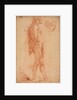 Study of a Standing Male Nude, with a Study of Head in Three-Quarter Profile, c. 1640 by Cecco Bravo