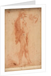 Study of a Standing Male Nude, with a Study of Head in Three-Quarter Profile, c. 1640 by Cecco Bravo