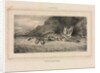 Study of a Tiger, 1832 by Antoine-Louis Barye