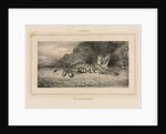 Study of a Tiger, 1832 by Antoine-Louis Barye