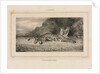 Study of a Tiger, 1832 by Antoine-Louis Barye