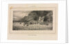 Study of a Tiger, 1832 by Antoine-Louis Barye
