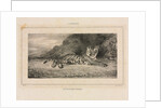 Study of a Tiger, 1832 by Antoine-Louis Barye