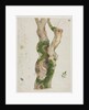 Study of a Tree Trunk by Georges Michel