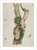 Study of a Tree Trunk by Georges Michel