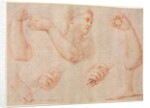 Study of a Young Woman Playing a Tambourine, and Studies of an Arm, Hands, and Feet…, c. 1711 by Marcantonio Franceschini