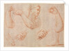 Study of a Young Woman Playing a Tambourine, and Studies of an Arm, Hands, and Feet…, c. 1711 by Marcantonio Franceschini