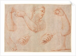 Study of a Young Woman Playing a Tambourine, and Studies of an Arm, Hands, and Feet…, c. 1711 by Marcantonio Franceschini