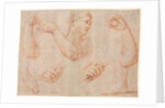 Study of a Young Woman Playing a Tambourine, and Studies of an Arm, Hands, and Feet…, c. 1711 by Marcantonio Franceschini