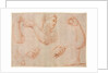 Study of a Young Woman Playing a Tambourine, and Studies of an Arm, Hands, and Feet…, c. 1711 by Marcantonio Franceschini