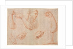 Study of a Young Woman Playing a Tambourine, and Studies of an Arm, Hands, and Feet…, c. 1711 by Marcantonio Franceschini