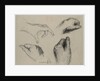 Study of Hands, 1800s by Théodule Ribot