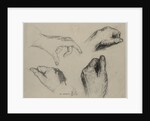Study of Hands, 1800s by Théodule Ribot