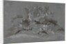 Study of Weeds, 1800-1850 by Jean Antoine Linck