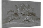 Study of Weeds, 1800-1850 by Jean Antoine Linck