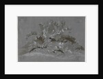 Study of Weeds, 1800-1850 by Jean Antoine Linck