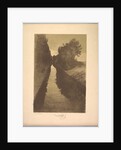 Suite de Paysages: Landscape, Plate 1, Remarque, A Fish, 1892-1893 by Charles Marie Dulac