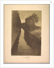 Suite de Paysages: Landscape, Plate 1, Remarque, A Fish, 1892-1893 by Charles Marie Dulac