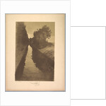 Suite de Paysages: Landscape, Plate 1, Remarque, A Fish, 1892-1893 by Charles Marie Dulac