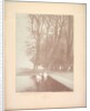 Suite de Paysages: Landscape, Plate 6, Remarque, Lilies, 1892-1893 by Charles Marie Dulac