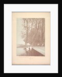 Suite de Paysages: Landscape, Plate 6, Remarque, Lilies, 1892-1893 by Charles Marie Dulac
