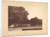 Suite de Paysages: Landscape, Plate 7, Remarque, Poppies, 1892-1893 by Charles Marie Dulac