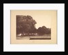 Suite de Paysages: Landscape, Plate 7, Remarque, Poppies, 1892-1893 by Charles Marie Dulac