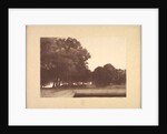 Suite de Paysages: Landscape, Plate 7, Remarque, Poppies, 1892-1893 by Charles Marie Dulac