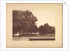 Suite de Paysages: Landscape, Plate 7, Remarque, Poppies, 1892-1893 by Charles Marie Dulac