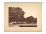 Suite de Paysages: Landscape, Plate 7, Remarque, Poppies, 1892-1893 by Charles Marie Dulac