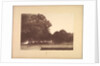 Suite de Paysages: Landscape, Plate 7, Remarque, Poppies, 1892-1893 by Charles Marie Dulac