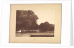 Suite de Paysages: Landscape, Plate 7, Remarque, Poppies, 1892-1893 by Charles Marie Dulac