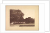 Suite de Paysages: Landscape, Plate 7, Remarque, Poppies, 1892-1893 by Charles Marie Dulac