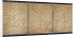 Susuki Grass, c. 1525 by Unknown