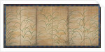 Susuki Grass, c. 1525 by Unknown