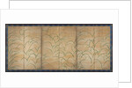 Susuki Grass, c. 1525 by Unknown