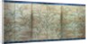 Susuki Grass, c. 1525 by Unknown