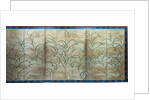 Susuki Grass, c. 1525 by Unknown