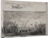 Swamp with Ducks, original impression 1862, printed in 1921 by Charles François Daubigny