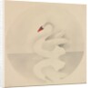 Swan by Mary Altha Nims