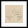 Swan by Mary Altha Nims