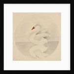 Swan by Mary Altha Nims