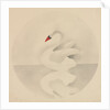 Swan by Mary Altha Nims